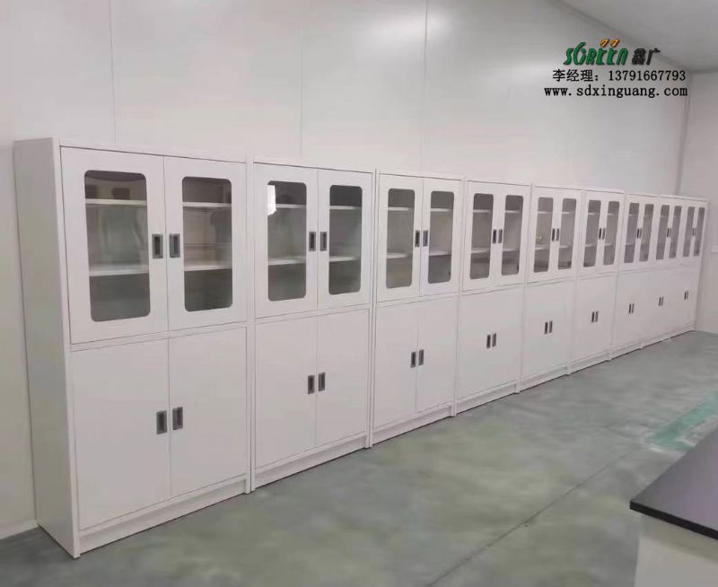 山東實驗臺廠家全鋼試劑柜實驗室器皿柜